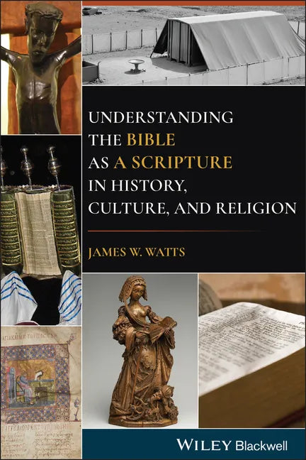 Understanding the Bible as a Scripture in History, Culture, and Religion - Paperback