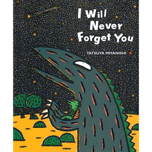 I Will Never Forget You - Hardcover