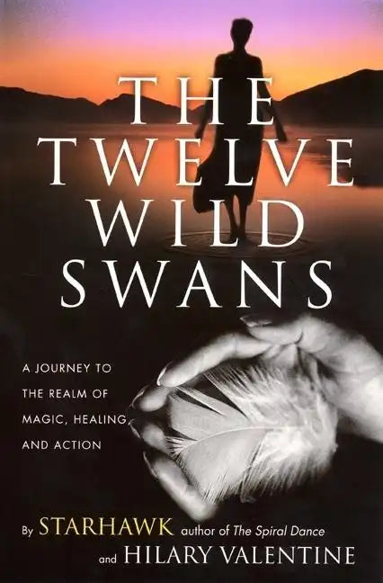 The Twelve Wild Swans: A Journey to the Realm of Magic, Healing, and Action - Paperback