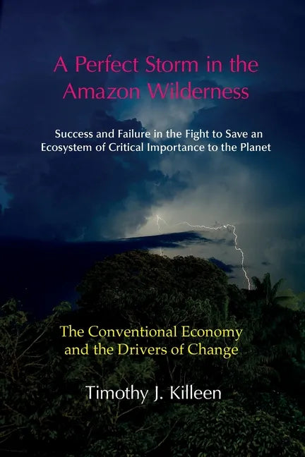 A Perfect Storm in the Amazon. Volume 1: The Conventional Economy and the Drivers of Change - Paperback