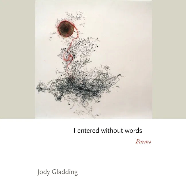 I Entered Without Words: Poems - Paperback