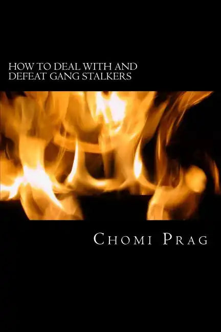 How to Deal with and Defeat Gang Stalkers - Paperback