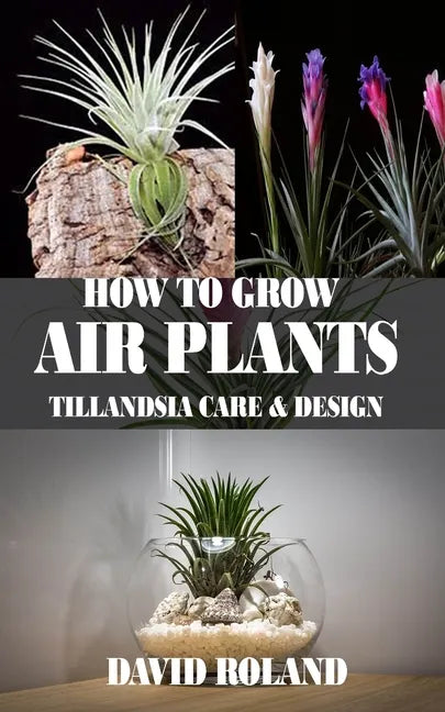 How to Grow Air Plants: Tillandsia Care and Design - Paperback