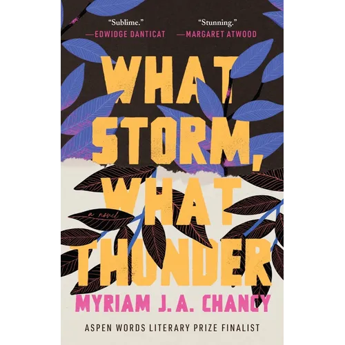 What Storm, What Thunder - Paperback