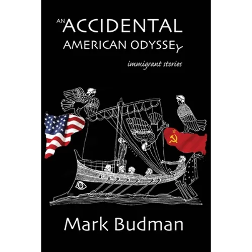 An Accidental American Odyssey - Paperback