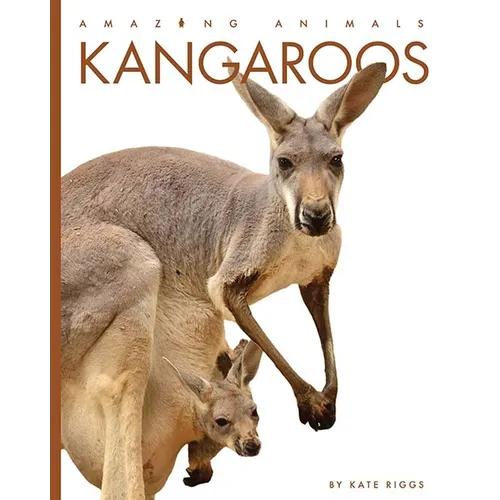 Kangaroos - Paperback