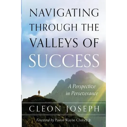 Navigating Through The Valleys Of Success: A Perspective In Perseverance - Paperback