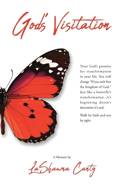 God's Visitation - Paperback
