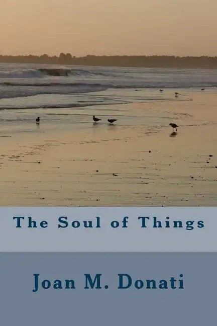 The Soul of Things - Paperback