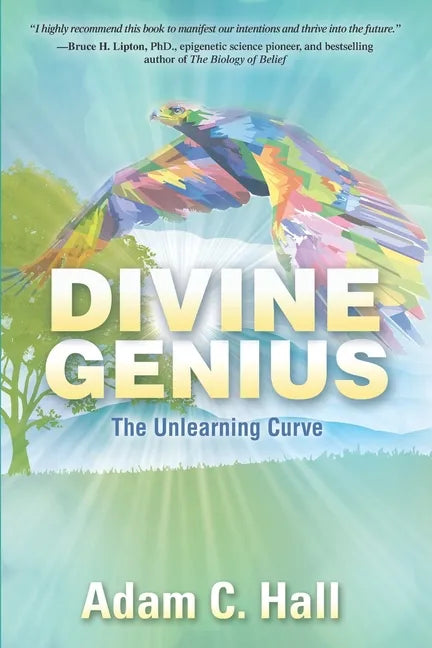 Divine Genius: The Unlearning Curve - Paperback