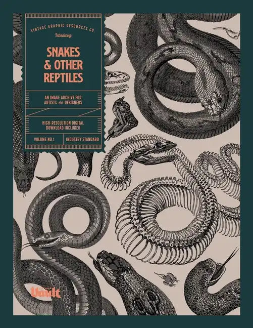 Snakes and Other Reptiles - Paperback