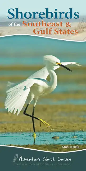 Shorebirds of the Southeast & Gulf States: Your Way to Easily Identify Shorebirds - Spiral