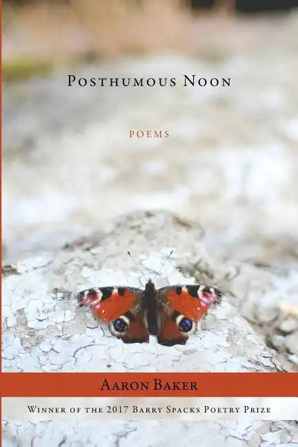 Posthumous Noon - Paperback