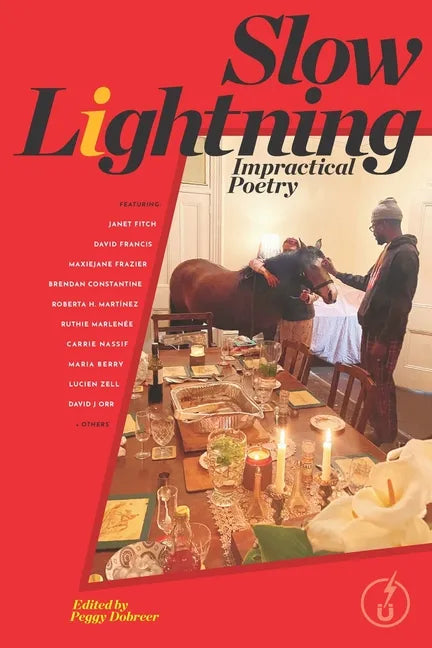 Slow Lightning: Impractical Poetry - Paperback