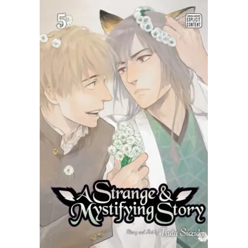 A Strange & Mystifying Story, Vol. 5 - Paperback