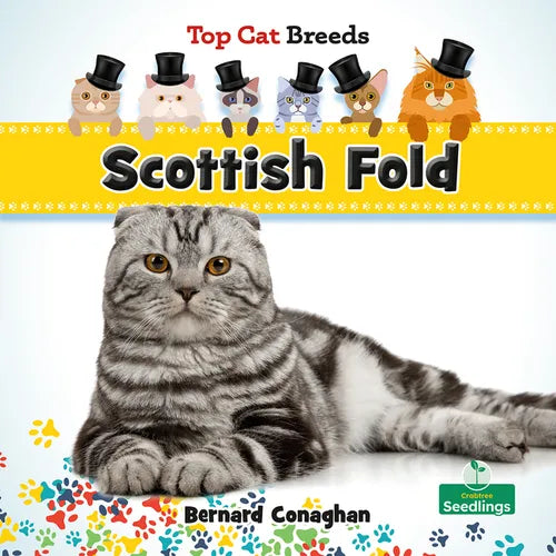 Scottish Fold - Paperback