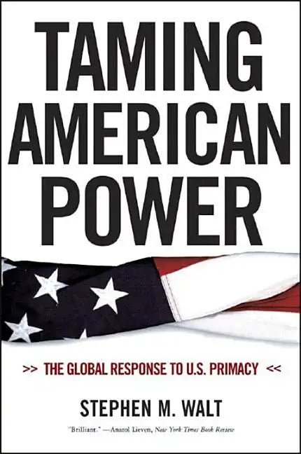 Taming American Power: The Global Response to U.S. Primacy - Paperback