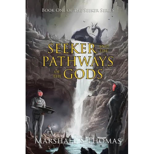 Seeker and the Pathways of the Gods - Paperback
