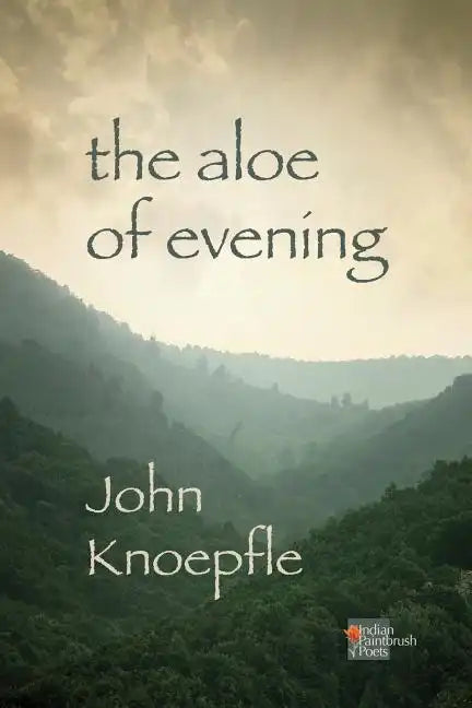 The Aloe of Evening - Paperback