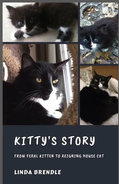 Kitty's Story: From Feral Kitten to Reigning Housecat - Paperback
