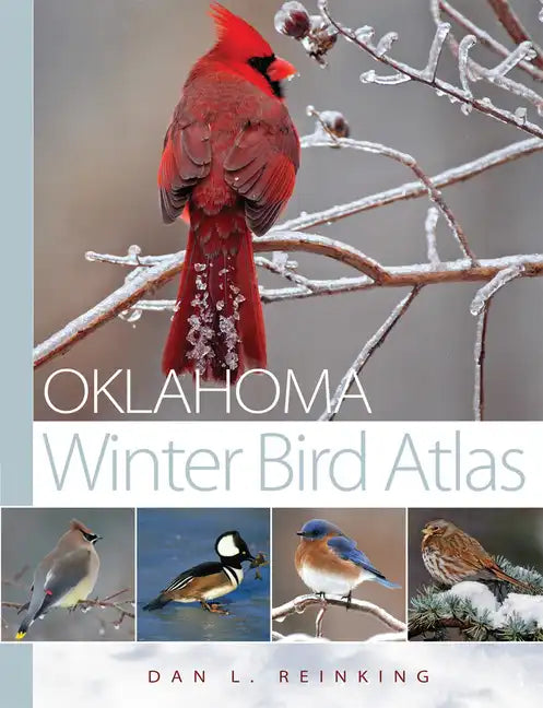 Oklahoma Winter Bird Atlas - Paperback