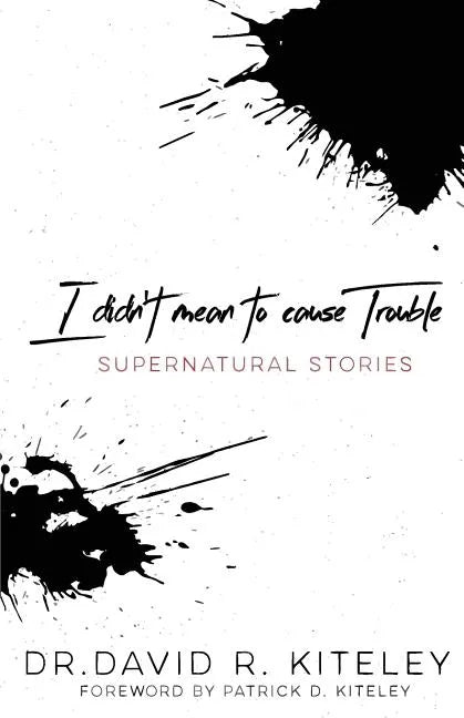 I Didn't Mean to Cause Trouble: Supernatural Stories - Paperback