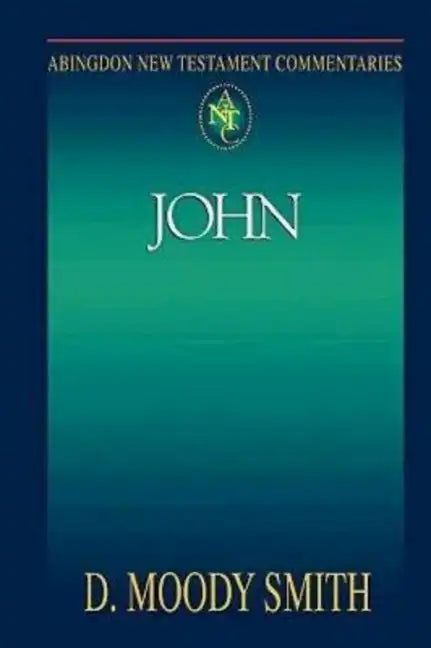 Abingdon New Testament Commentaries: John - Paperback