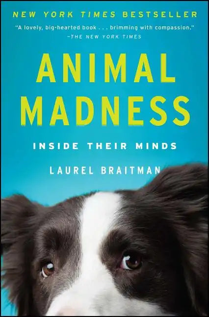 Animal Madness: Inside Their Minds - Paperback