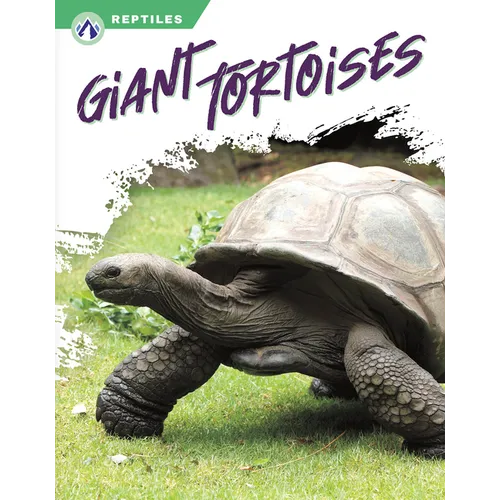 Giant Tortoises - Paperback