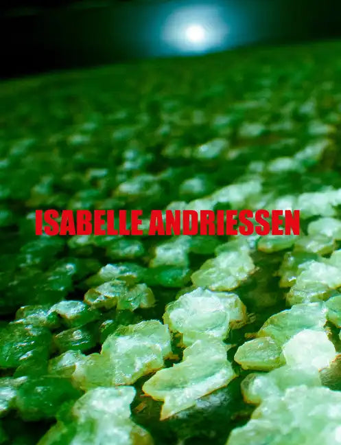 Isabelle Andriessen: Dorm - Paperback
