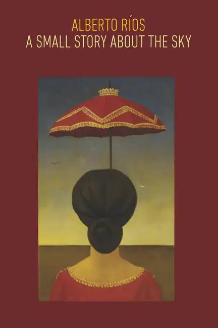 A Small Story about the Sky - Paperback