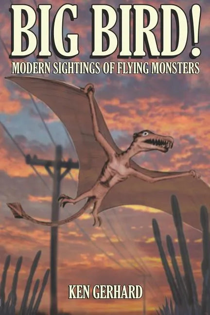 Big Bird! - Modern Sightings of Flying Monsters - Paperback