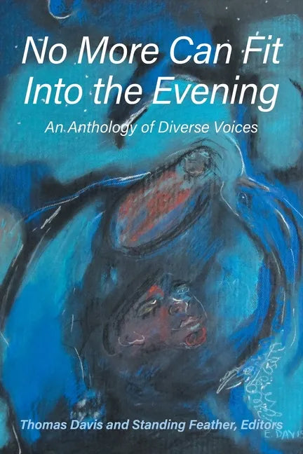 No More Can Fit Into the Evening - Paperback