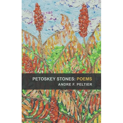 Petoskey Stones: Poems - Paperback