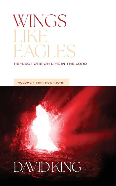 Wings Like Eagles: Reflections on Life in the Lord Vol. 4: Matthew-John - Paperback