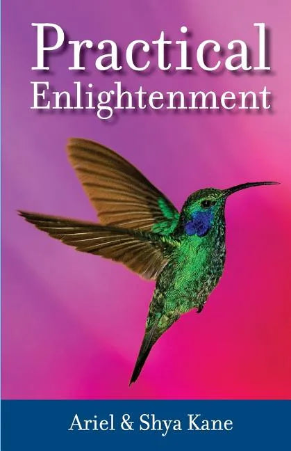 Practical Enlightenment - Paperback