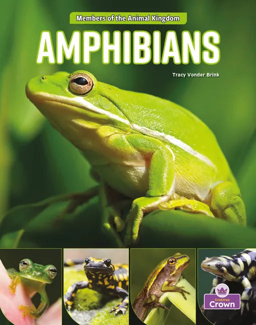 Amphibians - Paperback