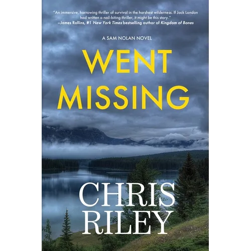 Went Missing: A Sam Nolan Novel - Paperback