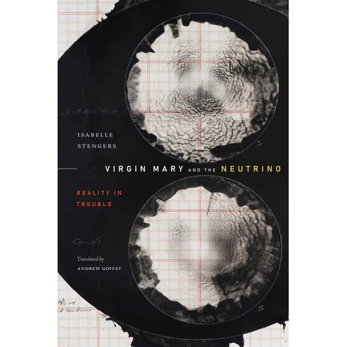 Virgin Mary and the Neutrino: Reality in Trouble - Paperback