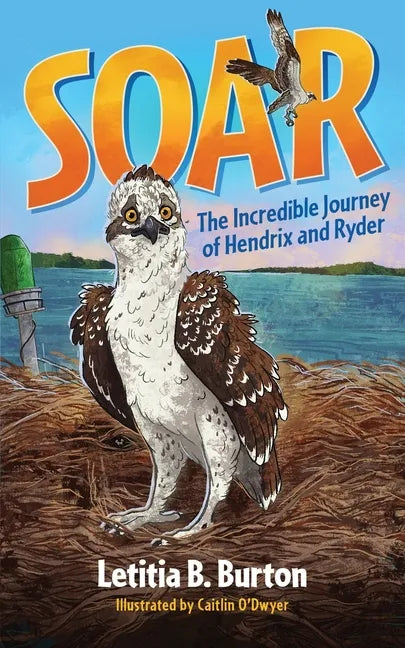 Soar: The Incredible Journey of Hendrix and Ryder - Paperback