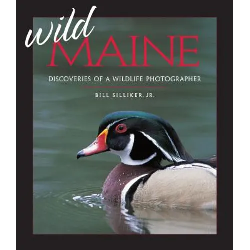 Wild Maine: Discoveries of a Wildlife Photographer - Paperback