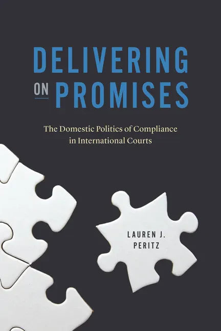Delivering on Promises: The Domestic Politics of Compliance in International Courts - Paperback