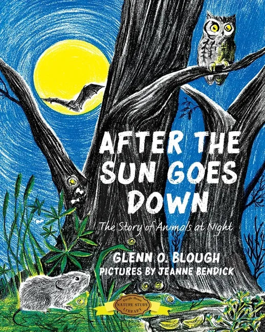 After the Sun Goes Down - Paperback