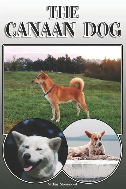 The Canaan Dog: A Complete and Comprehensive Owners Guide To: Buying, Owning, Health, Grooming, Training, Obedience, Understanding and - Paperback