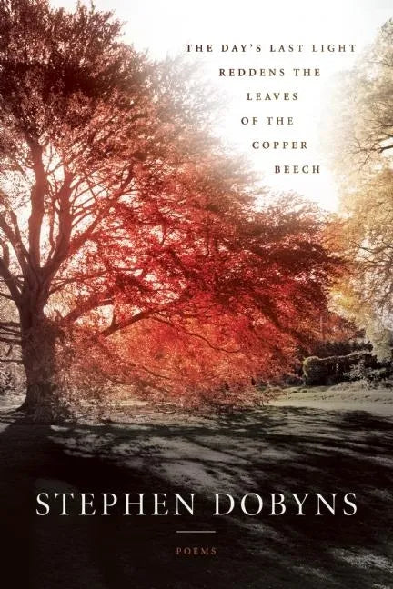 The Day's Last Light Reddens the Leaves of the Copper Beech - Paperback