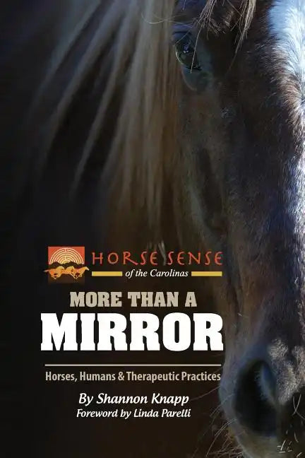 More Than a Mirror: Horses, Humans & Therapeutic Practices - Paperback