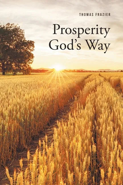 Prosperity God's Way - Paperback
