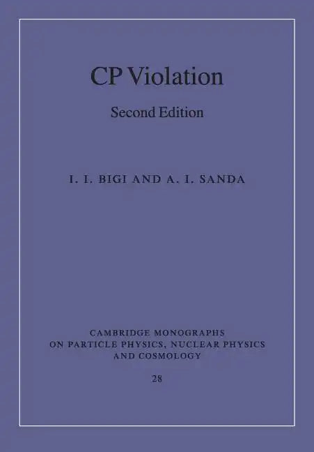 Cp Violation - Paperback
