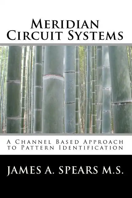 Meridian Circuit Systems: A Channel Based Approach to Pattern Identification - Paperback