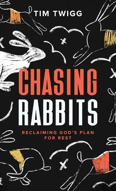 Chasing Rabbits: Reclaiming God's Plan For Rest - Hardcover